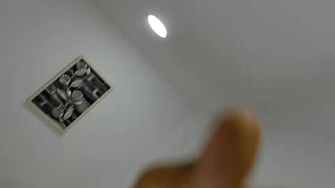 julius_violetta @ stripchat on 20230928