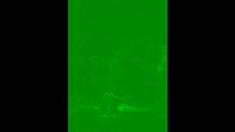 Media: babyellen Stripchat 2023-10-02 23:12:00