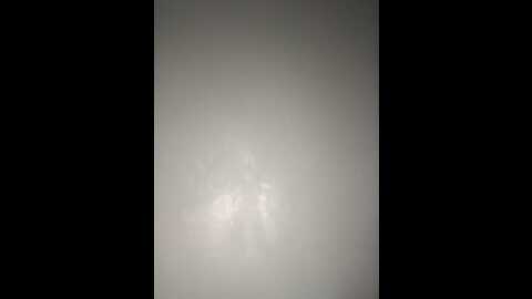 msponey_ @ stripchat on 20231002