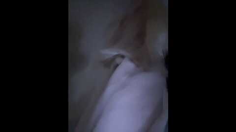 Media: charming_ritta Stripchat 2023-10-07 06:53:00