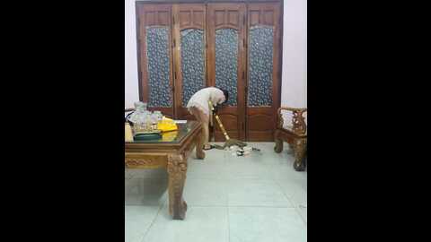 jenny21_spa @ stripchat on 20231007