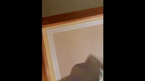Media: littlemisseeve Stripchat 2023-10-07 02:51:00