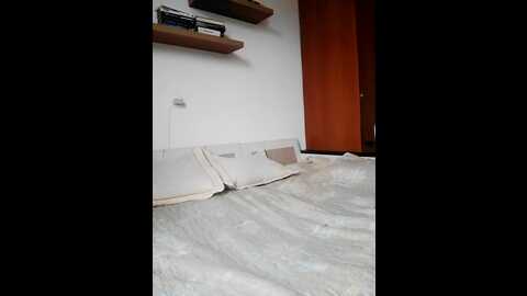 Media: women_pleasures Stripchat 2023-10-08 09:28:00