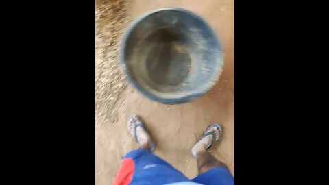 desikudi @ stripchat on 20231009