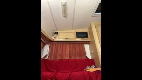 Media: alimela Stripchat 2023-10-10 17:21:00