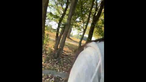 Media: clairewntr Stripchat 2023-10-11 10:25:00