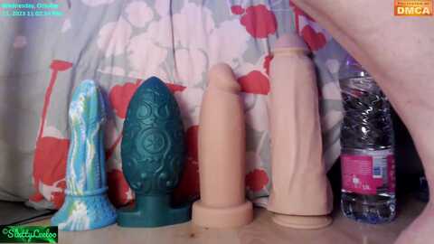 Media: misschiennelilou Stripchat 2023-10-11 21:02:00