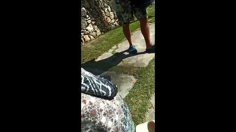 luna_natural @ stripchat on 20231012