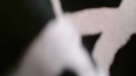Media: pako60_pako60 Stripchat 2023-10-13 09:42:00