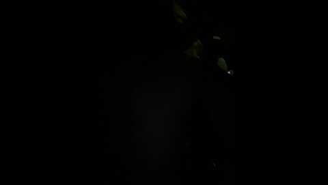 Media: _angelari_ Stripchat 2023-10-15 17:54:00