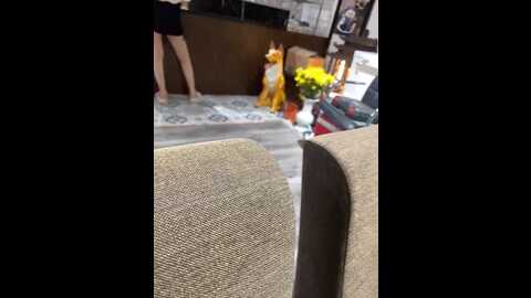 fucking_allday @ stripchat on 20231015