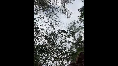 Media: sweetladyn Stripchat 2023-10-15 12:02:00