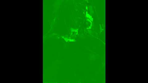 Media: sweetladyn Stripchat 2023-10-16 13:01:00