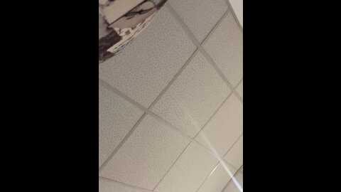 Media: sweetladyn Stripchat 2023-10-16 13:12:00