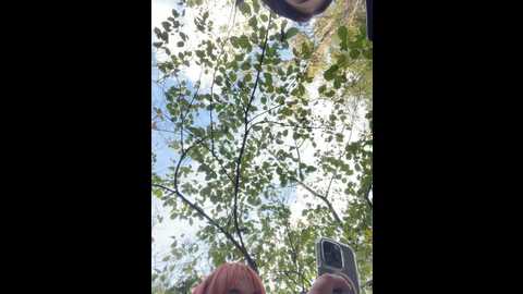 Media: sweetladyn Stripchat 2023-10-19 12:32:00
