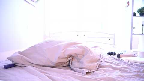 Media: white_sensuality Stripchat 2023-10-19 09:44:00