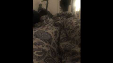 celinesthlm @ stripchat on 20231022