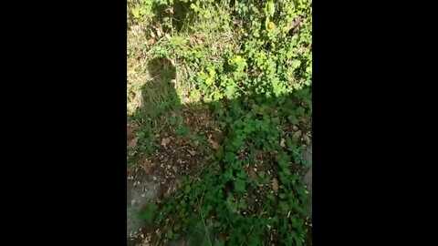 Media: two_hot_cats_love Stripchat 2023-10-22 09:52:00