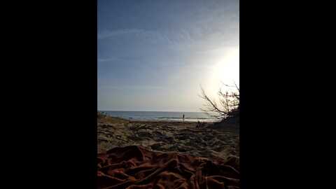 Media: ellynora Stripchat 2023-10-24 14:30:00