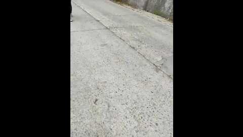 Media: two_hot_cats_love Stripchat 2023-10-24 11:34:00