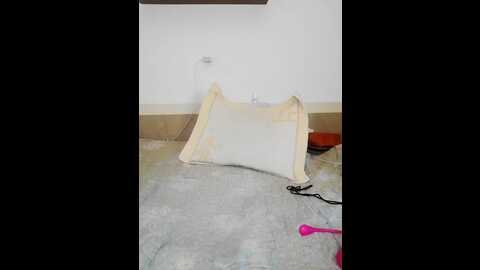 Media: women_pleasures Stripchat 2023-10-26 19:52:00