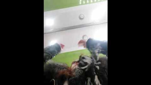 Media: milanariskygirl Stripchat 2023-10-30 08:22:00