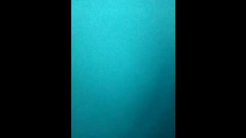 Media: amalarabic Stripchat 2023-10-31 18:56:00