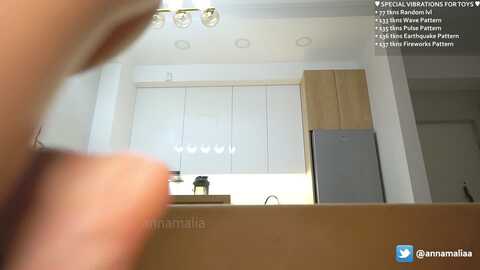 Media: annamalia_ Stripchat 2023-11-01 18:54:00