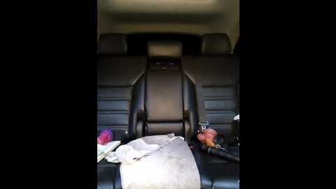 Media: misses_cougar Stripchat 2023-11-01 16:56:00