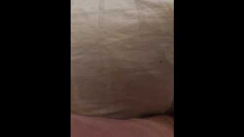 celinesthlm @ stripchat on 20231106
