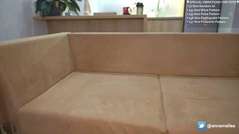 Media: annamalia_ Stripchat 2023-11-08 11:24:00