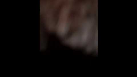 Media: eveangelll Stripchat 2023-11-08 13:04:00
