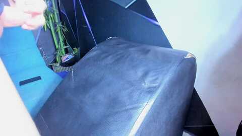 pucca_camhot @ stripchat on 20231108