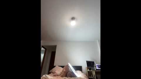 Media: horny_roomiess Stripchat 2023-11-11 02:57:00