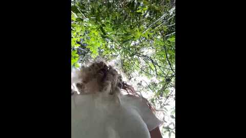 Media: alana15 Stripchat 2023-11-12 19:27:00