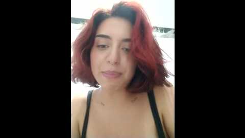 ariftalex @ stripchat on 20231112