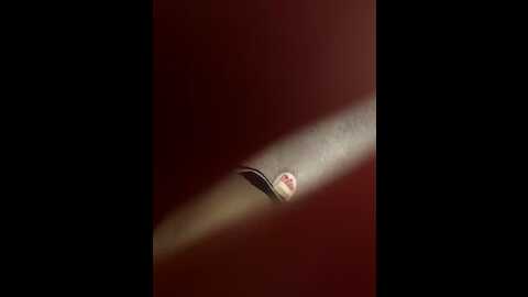 juny_lany @ stripchat on 20231113
