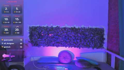 Media: bennymurrh_ Stripchat 2024-09-18 19:17:00