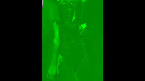 Media: dina_tease Stripchat 2024-09-19 09:06:00