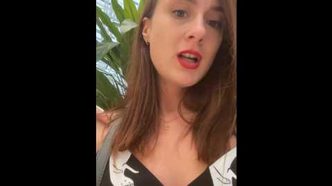 Media: dina_tease Stripchat 2024-09-19 10:48:00