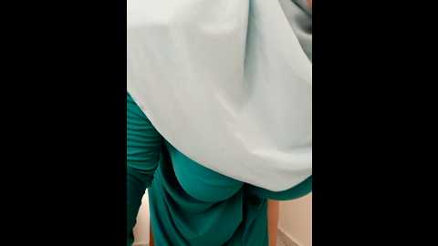 Media: amalarabic Stripchat 2024-09-20 10:32:00
