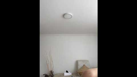 Media: alana15 Stripchat 2024-09-22 19:41:00