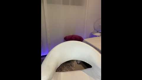 anyrosett @ stripchat on 20240922