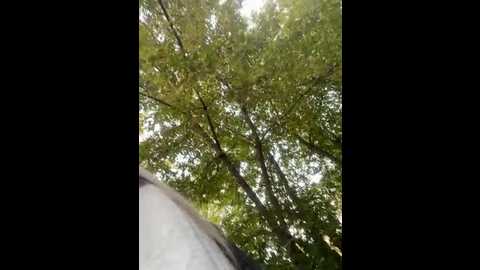 Media: charming_evaa Stripchat 2024-09-23 11:32:00