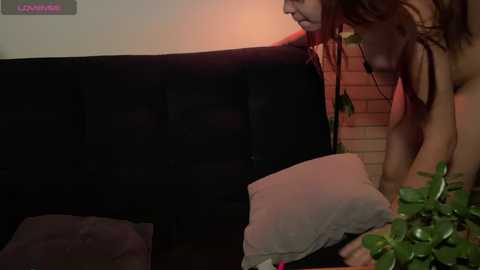 lionsdark @ stripchat on 20240923