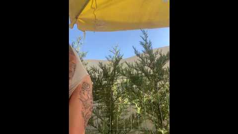 Media: madonnaaaa Stripchat 2024-09-23 06:56:00