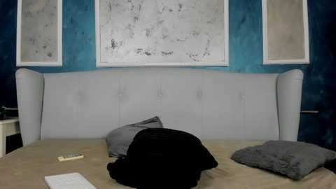Media: akirareid Stripchat 2024-09-24 11:20:00