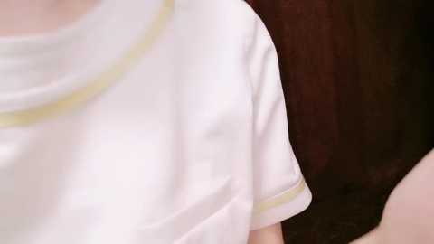 Media: irohani_usagi Stripchat 2024-09-25 13:05:00