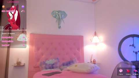 kimmy099 @ stripchat on 20240925