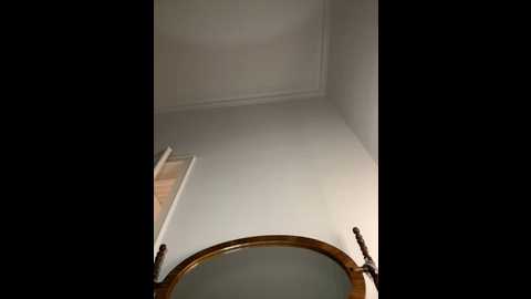 Media: nickilike Stripchat 2024-09-25 16:38:00